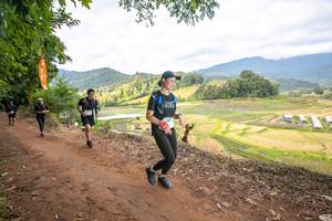 BIB: 1352, 1366
                            <button type="button" onclick="openModal(15999239)" class="btn btn-primary btn-sm float-right btn-popup" data-toggle="modal" data-target=".modal-high-quality">
                        <i class="fas fa-shopping-cart"></i> Add to Cart
                    </button>
                                            <button type="button" onclick="isThisMe(15999239, true)" class="btn btn-success btn-sm float-right btn-popup btn-isme hidden" data-toggle="tooltip" data-placement="bottom" title="นี่คือรูปของคุณใช่ไหม คลิกที่นี่เพื่อเอาเข้าอัลบั้ม">
                        <i class="fas fa-plus"></i> Add to album
                    </button>
                    <button type="button" onclick="isThisMe(15999239, false)" class="btn btn-warning btn-sm float-right btn-popup btn-isnotme hidden">
                        <i class="fas fa-ban"></i> Remove from album
                    </button>